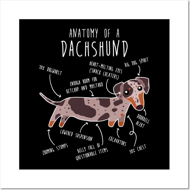 Red Dapple Dachshund Dog Anatomy Wall Art by Psitta